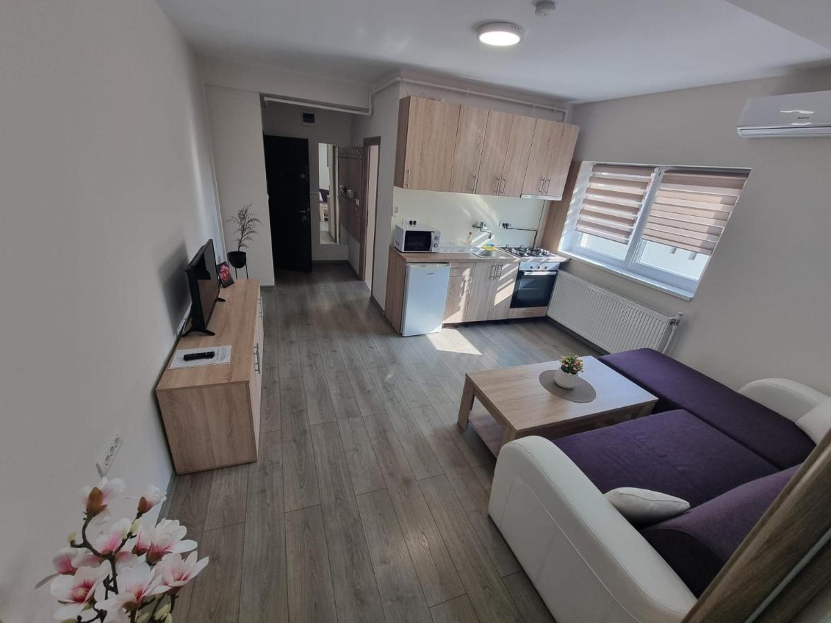 City Premium Apartments Timisoara Bagian luar foto