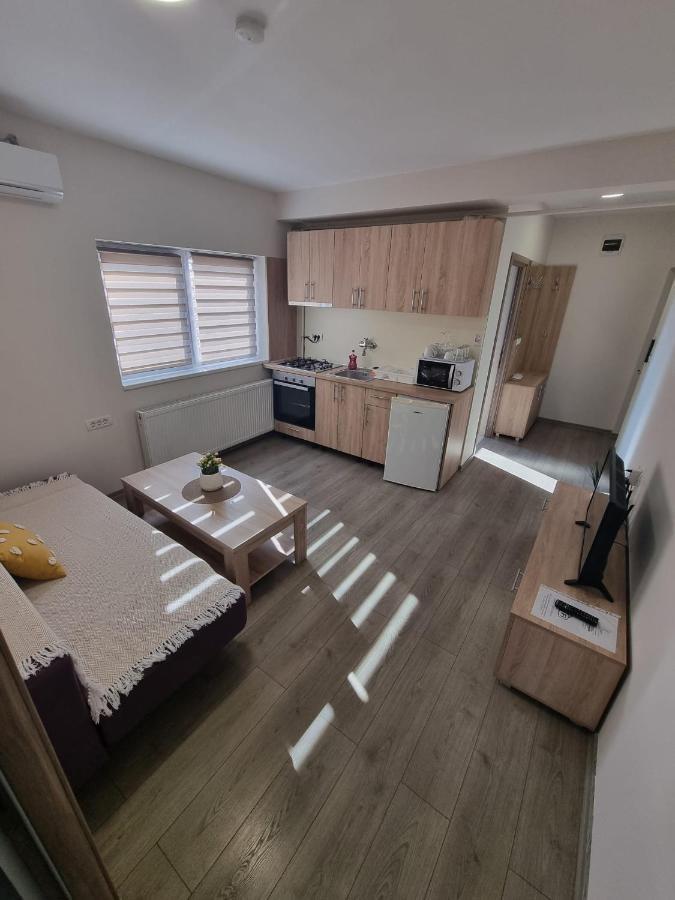 City Premium Apartments Timisoara Bagian luar foto