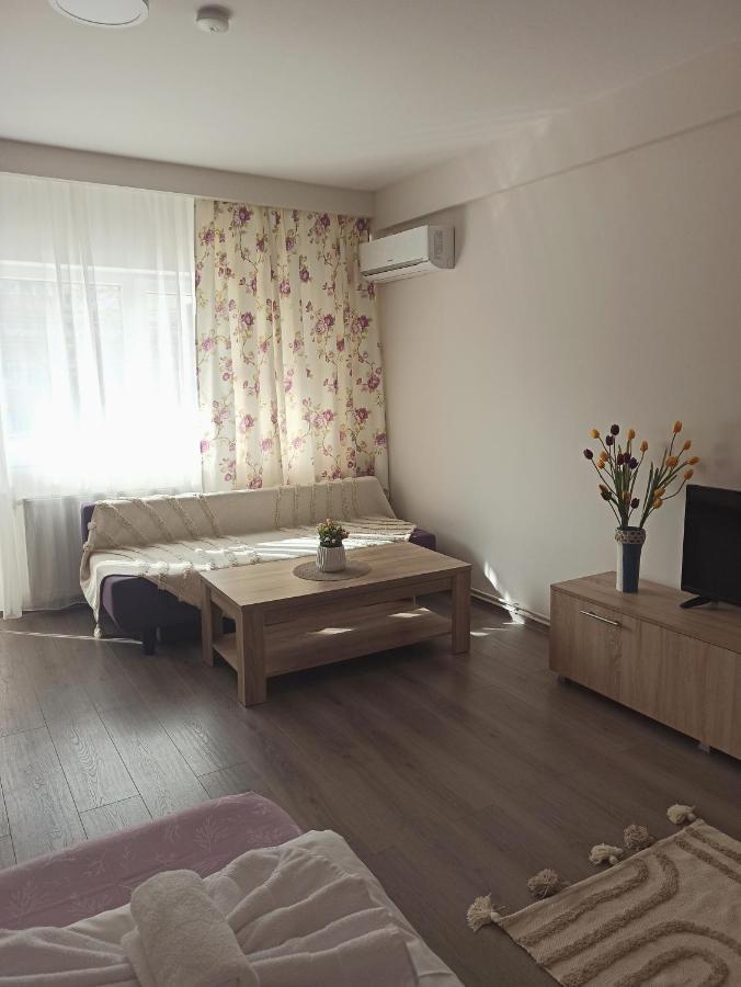 City Premium Apartments Timisoara Bagian luar foto
