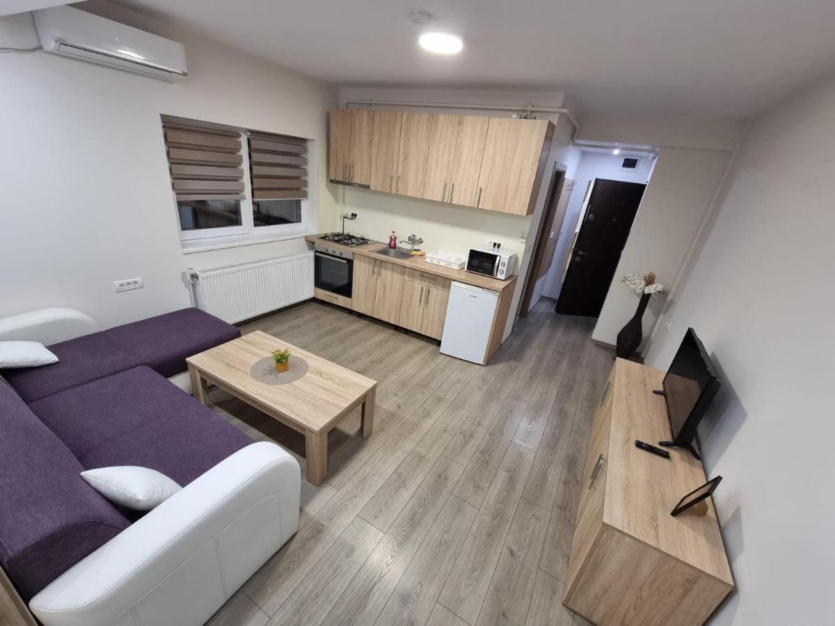 City Premium Apartments Timisoara Bagian luar foto