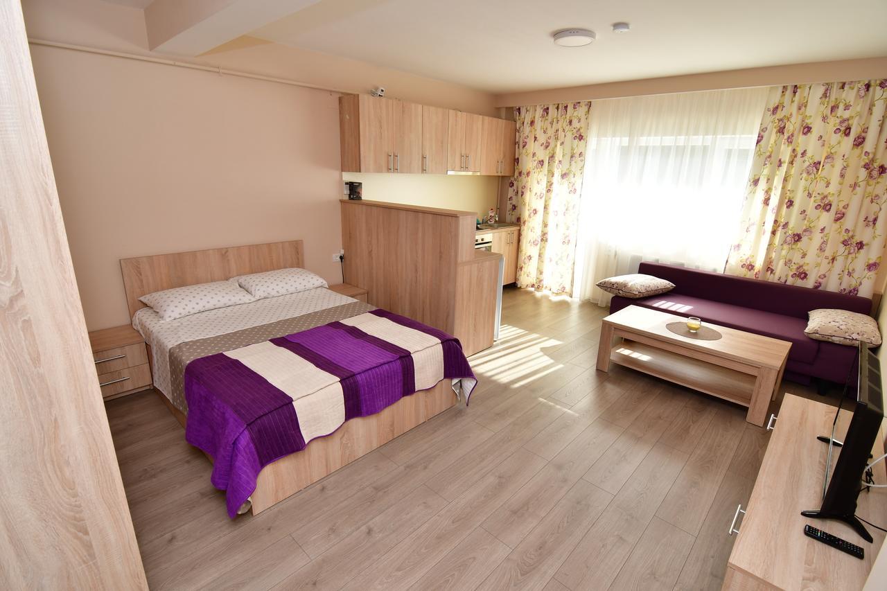 City Premium Apartments Timisoara Bagian luar foto